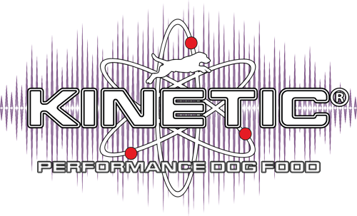 Kinetic Logo REG Waveform 500 px