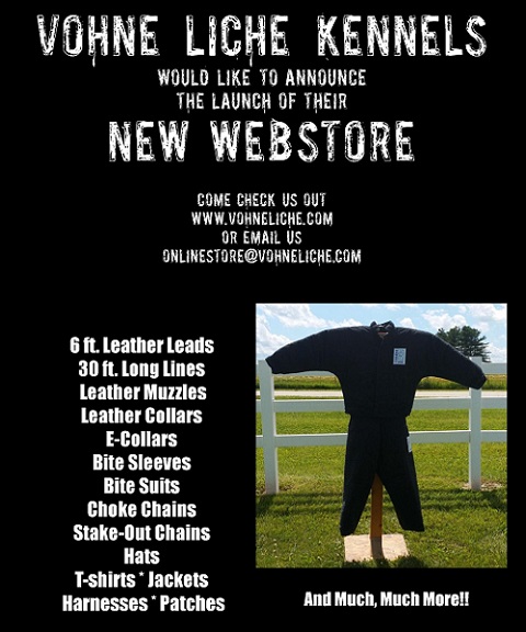 Store-Ad.jpg